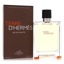 Terre D&
